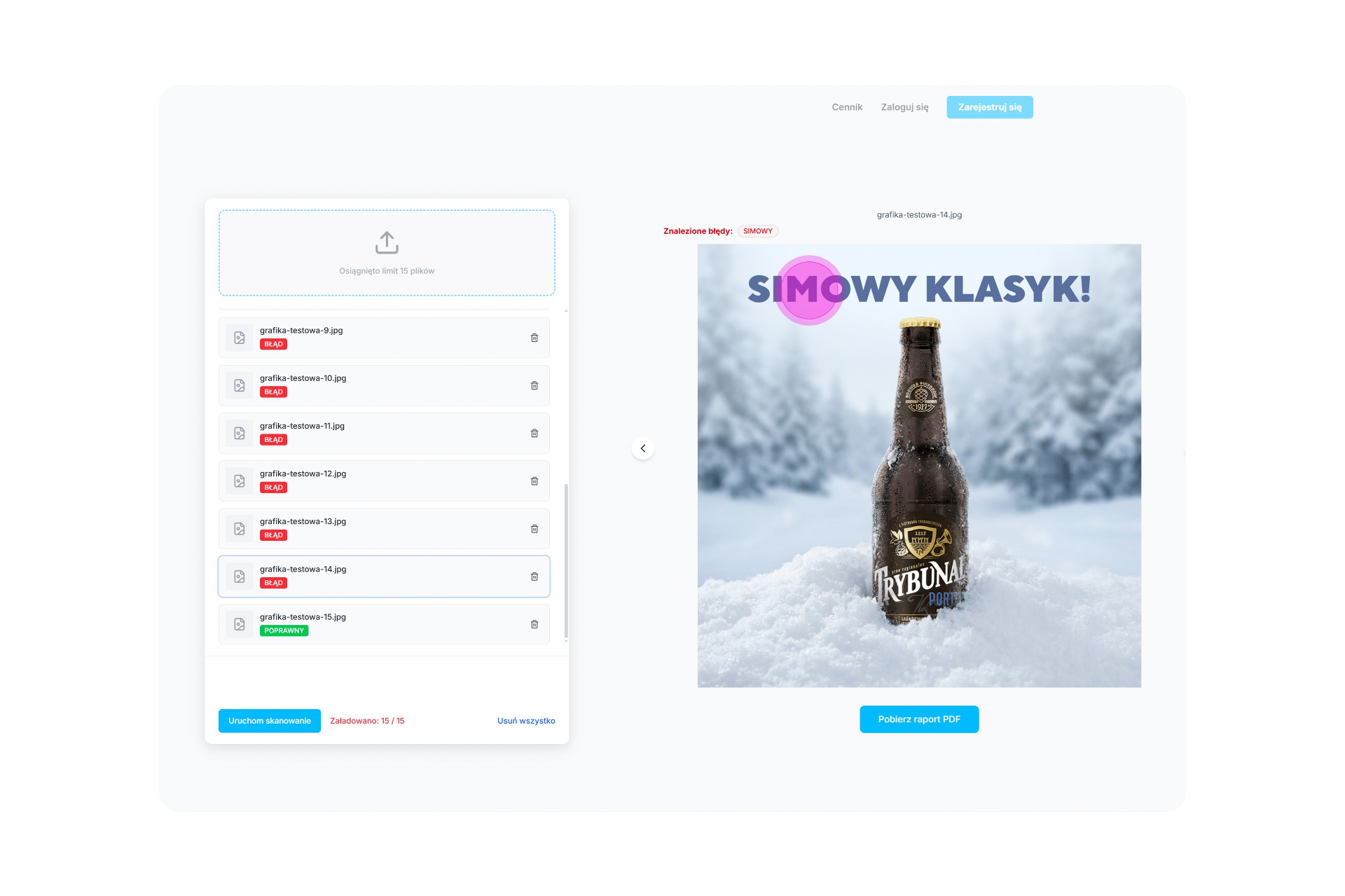 Micro SaaS app interface mockup